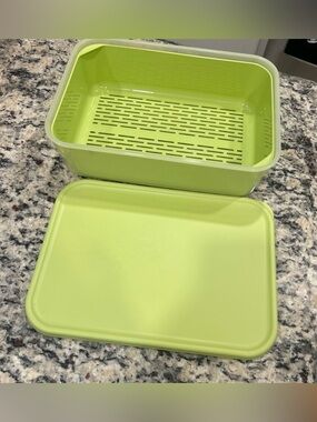 Lock N Lock Lime Green Produce Draining Storage Container with Lid